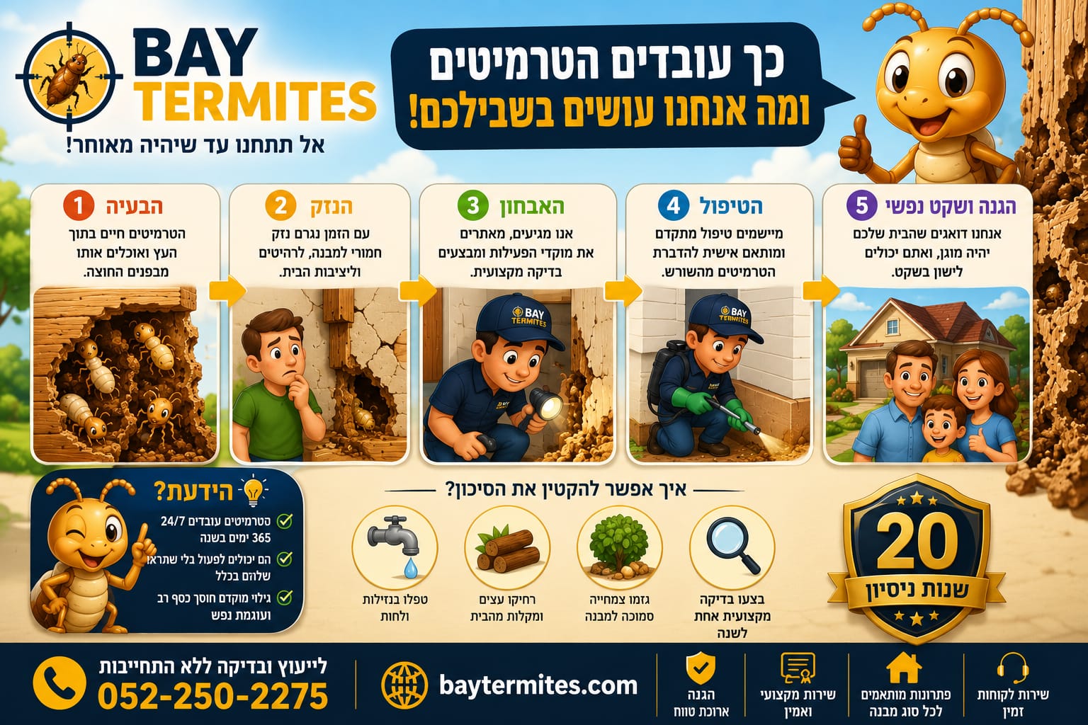 Bay Termites – תהליך הטיפול בטרמיטים: 5 שלבים מקצועיים עם 20 שנות ניסיון